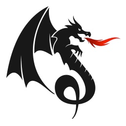 Dragon Training logo