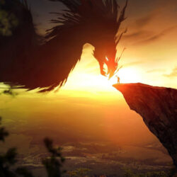 The Dragon Training - Balance